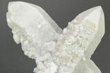 Milky, Candle Quartz Crystal Cluster - Inner Mongolia #226025-1